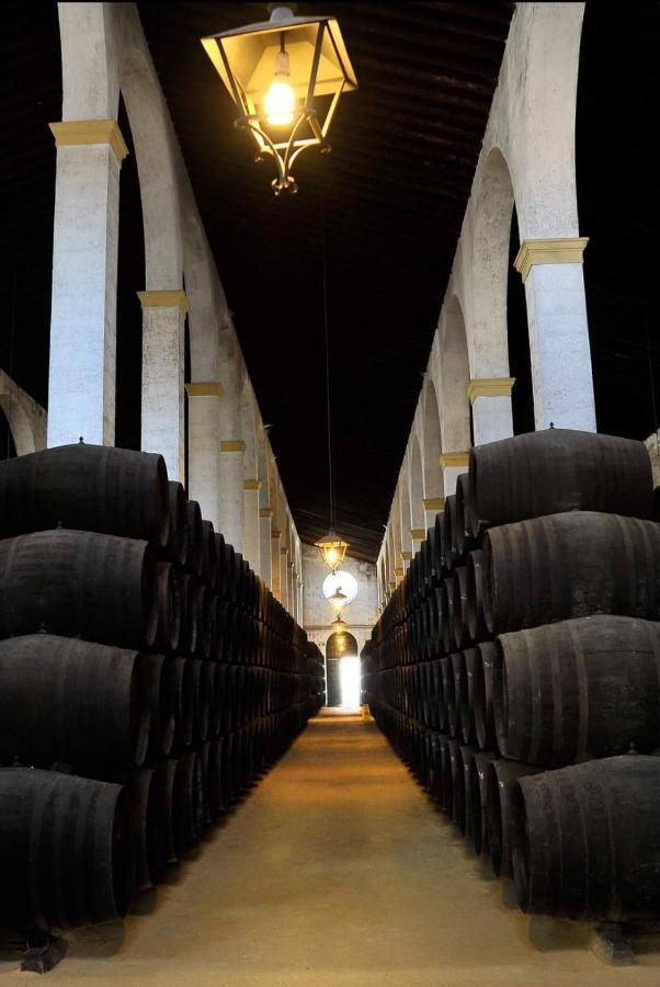 Sherryflat C/ Arcos Jerez de la Frontera Kültér fotó